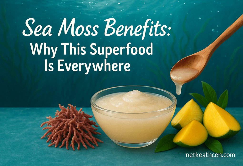 Sea Moss Benefits: Why This Superfood Is Everywhere Why This Superfood Is Everywhere